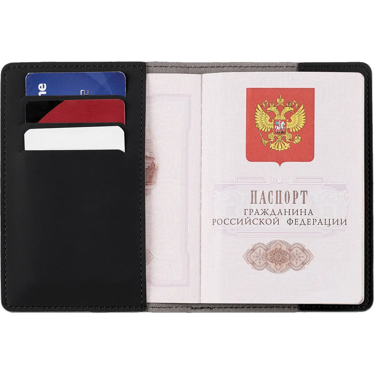 Паспортная обложка Shall Действующие вулканы, черная