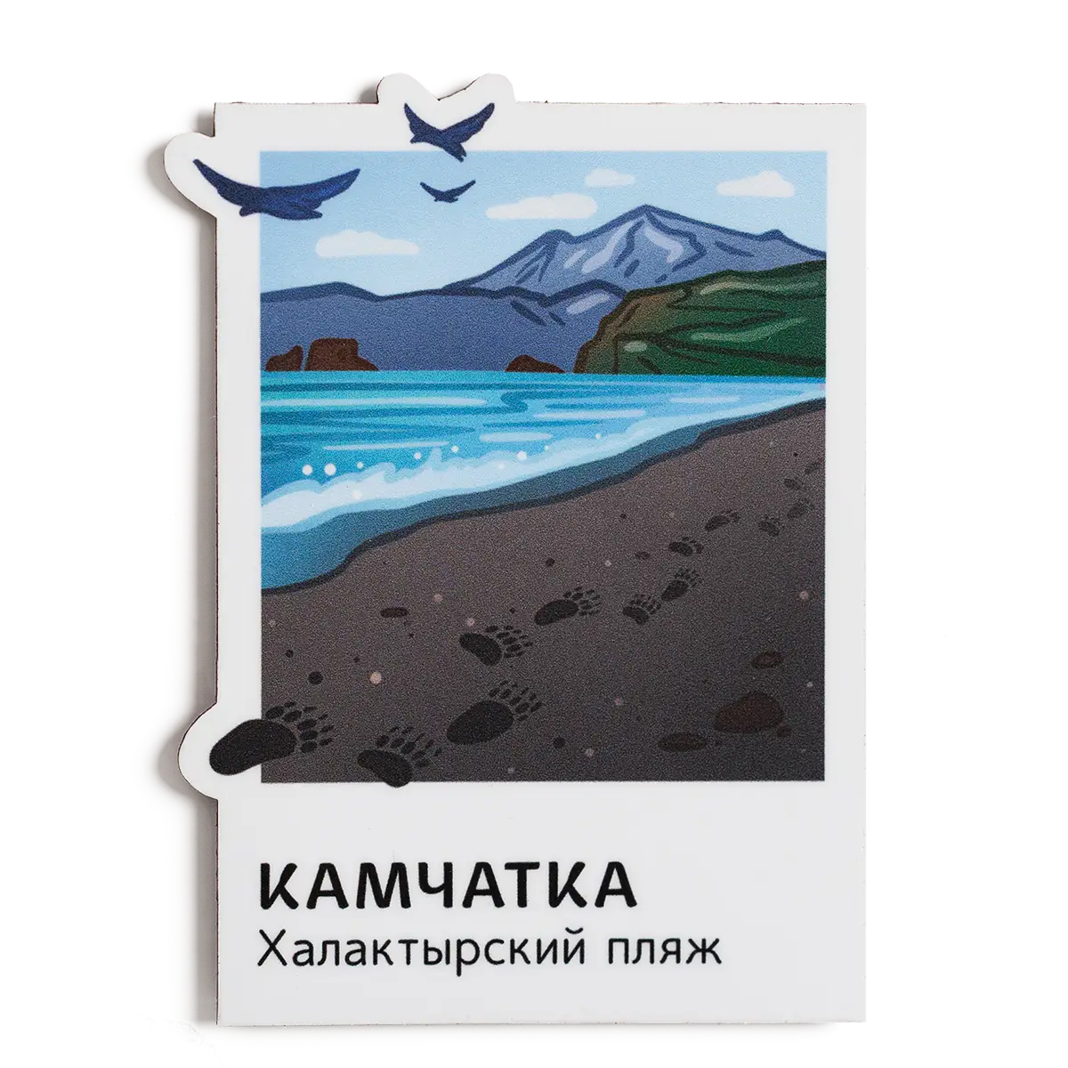 Магнит Vinil Камчатка в&nbsp;кадре, Халактырский пляж