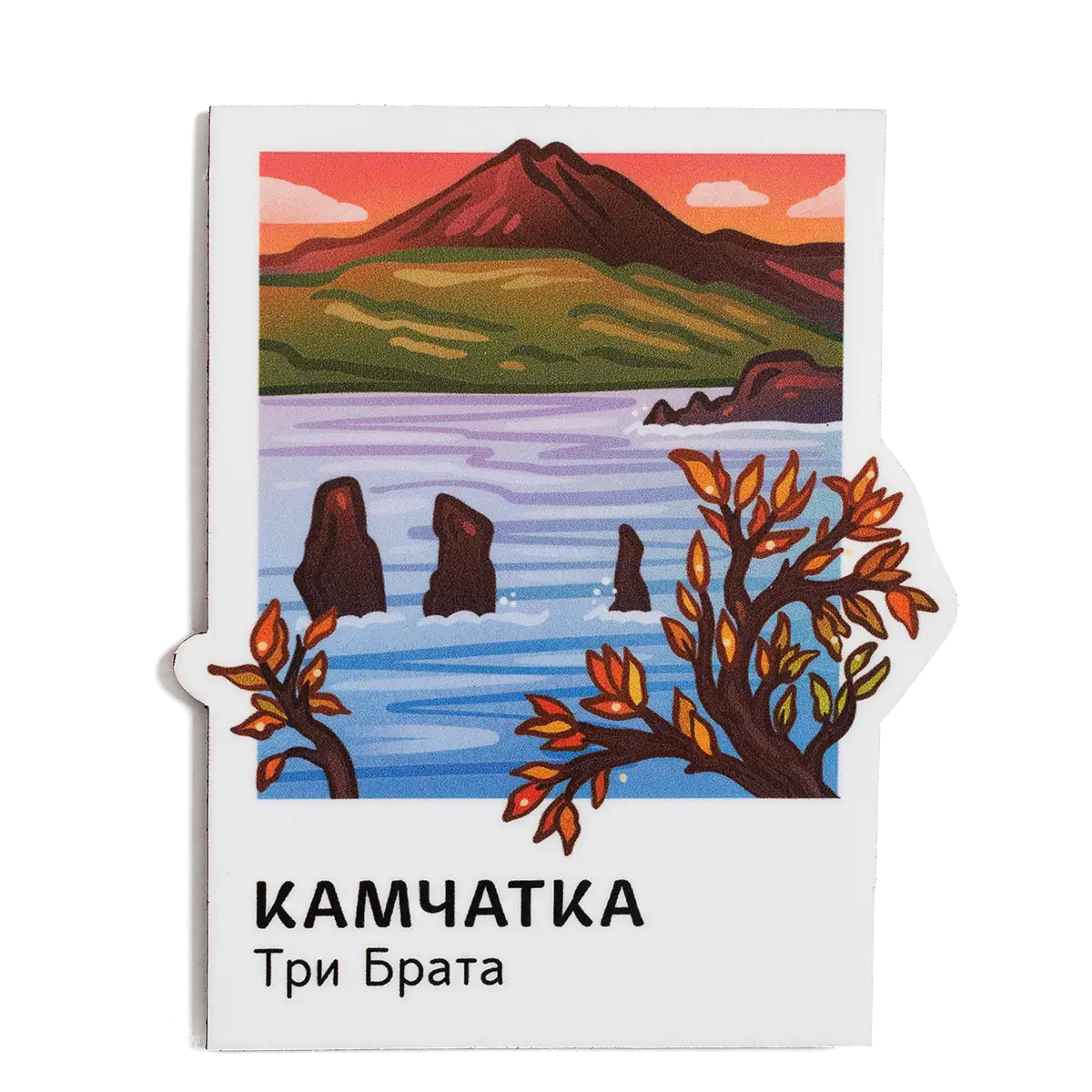 Магнит Vinil Камчатка в кадре