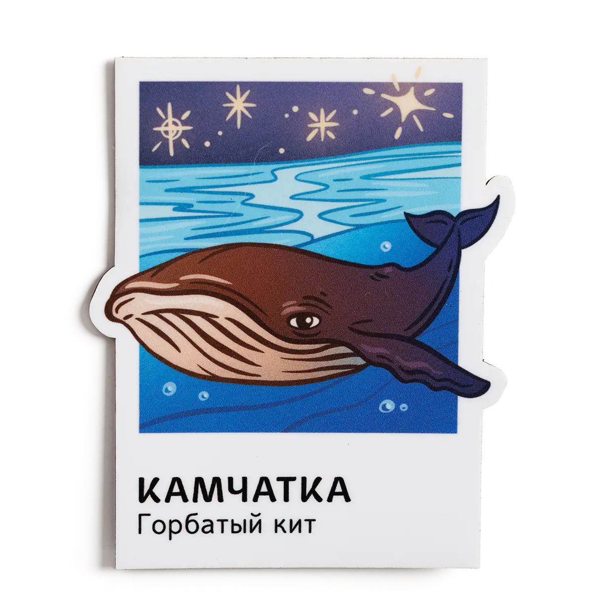 Магнит Vinil Камчатка в&nbsp;кадре, Горбатый кит