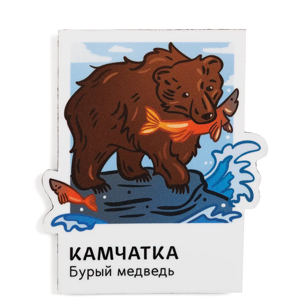 Магнит Vinil Камчатка в&nbsp;кадре, Бурый медведь