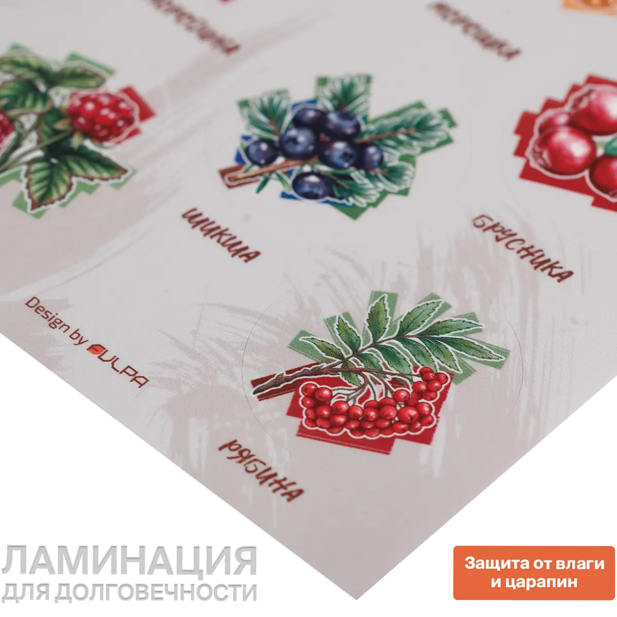 Стикерпак А6 Дикоросы Камчатки