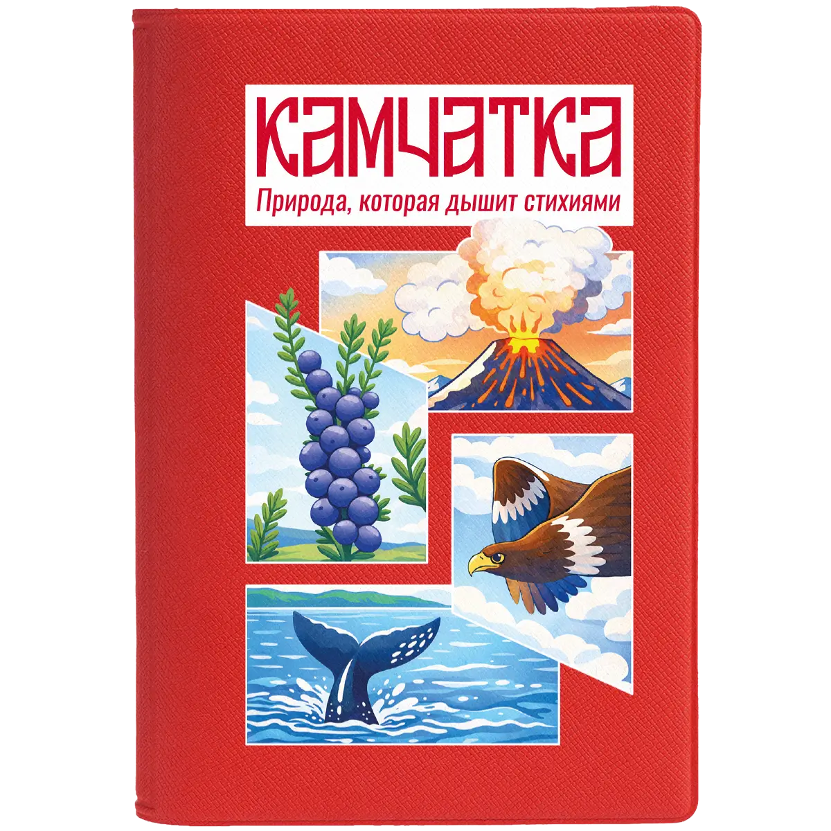 Паспортная обложка Devon Действующие вулканы, красная